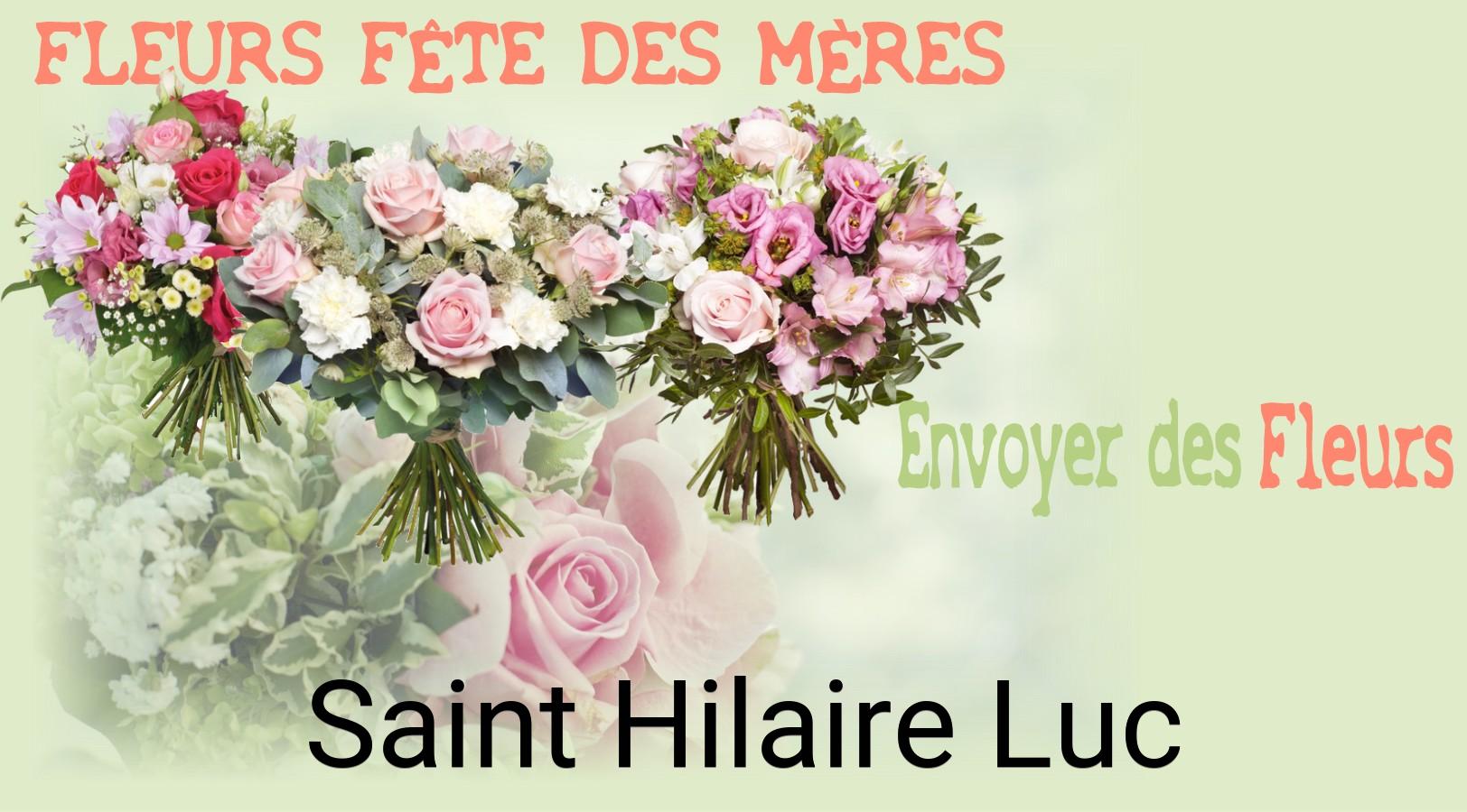 Bouquet de Fête des Mères livré à Saint-Hilaire-Luc